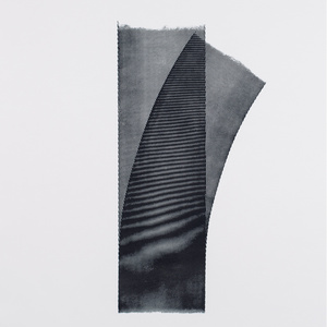 visual purple (excerpt)