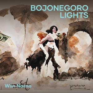 Bojonegoro Lights