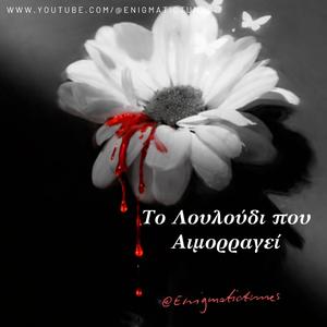 Το Λουλούδι που Αιμορραγεί