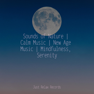 Soleful Solace