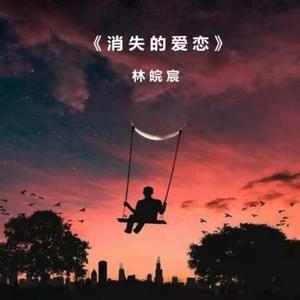 消失的爱恋-林皖宸
