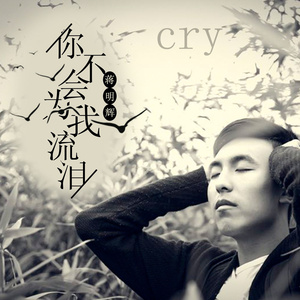 你不会为我流泪