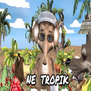 Ne Tropik