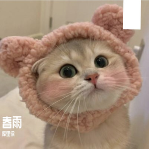 春雨