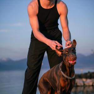 Pilote (2025 Remaster)