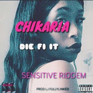 Die Fi It (Sensitive Riddem)