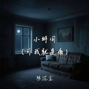 小胡同 (可我就是痛)
