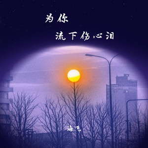 为你流下伤心泪