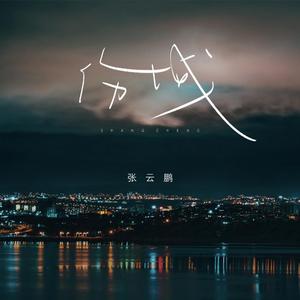 伤城 (DJ阳少版)