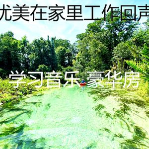 抚慰的正在学习回忆