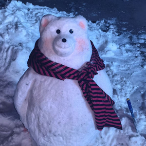 你教会我勇敢，却没教我遗忘