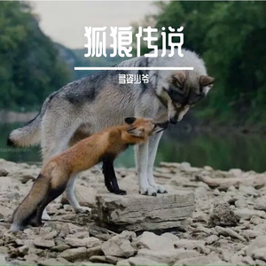 狐狼传说