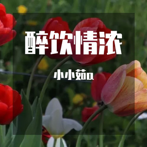 醉饮情浓（音乐抢先听）预告段落