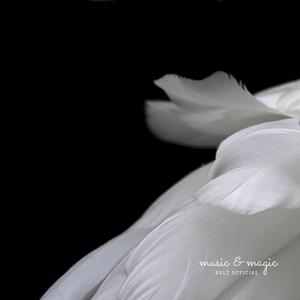 Too Good To Be True (feat. Aiden Valley)