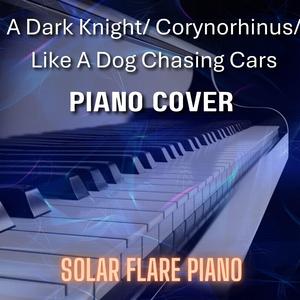 A Dark Knight/ Corynorhinus/ Like A Dog Chasing Cars