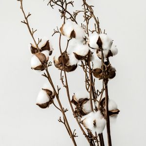 漂洋过海来看你