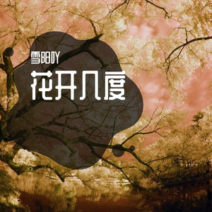 花开几度 伴奏