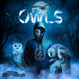 Owls
