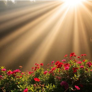 ចុងភ្លឺក្នុងចិត្តងងឹត