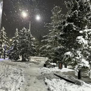 你和雪一样转瞬即逝