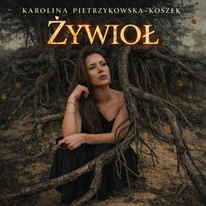 Żywioł