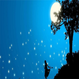 毕业的那个夏天 (舒缓纯音乐)