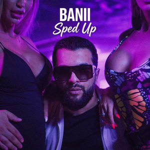 Banii (Sped Up)