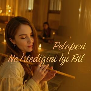 Ne İstediğini İyi Bil