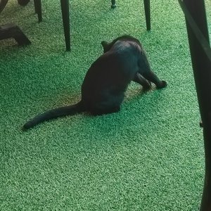 我看(beat by Gr33nart).MP3