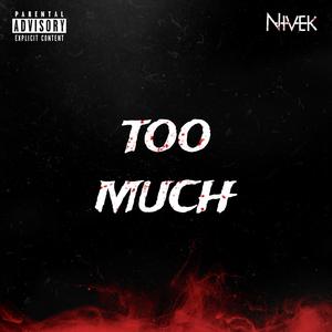 TOO MUCH (feat. Bryceko)