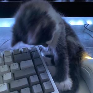 "绮境" 孟菲斯 SASIOVERLXRD X BOBBYNOPEACE Type Beat