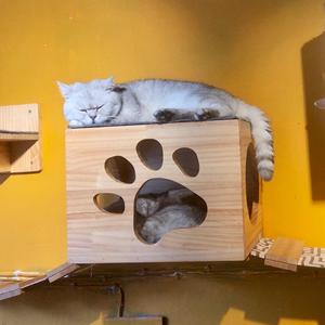 老板，来一碗小芋圆！（Original mix）