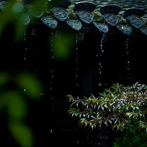 他们，我们。（Cover：三无Marblue）