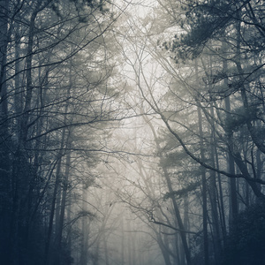 그립고 그리워서