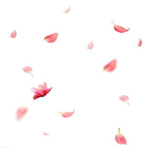 孤芳自赏（烟酒嗓）（翻自 杨小壮）