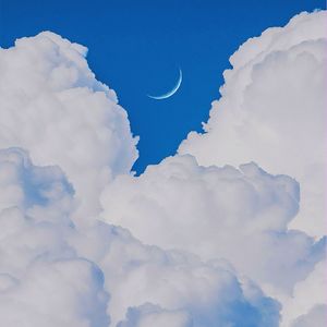 在我的世界没有爱