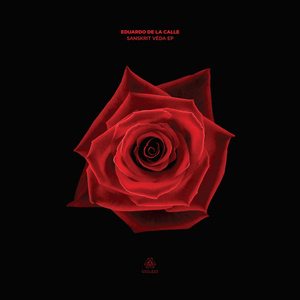 Downwards To Vasudeva (Original Mix)