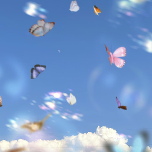 等天晴(思念版).mp3