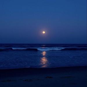 sen duygularına korkaksın