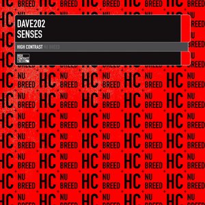 Senses (Original Mix)