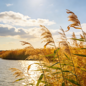 那一年的那一天