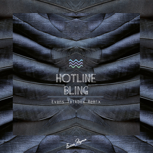 Hotline Bling(Evans Talkbox Remix)