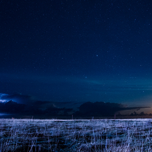 自留地（LD_ning edit)