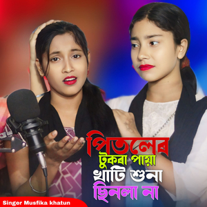 Pitoler Tukra Paya Khati Shuna Sinlana