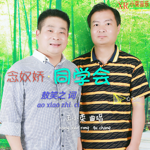 王小荣-念奴娇·同学会（伴奏）（王小荣 Remix）