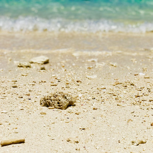 君しかいらない (Instrumental)