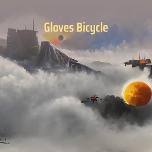 Gloves Bicycle