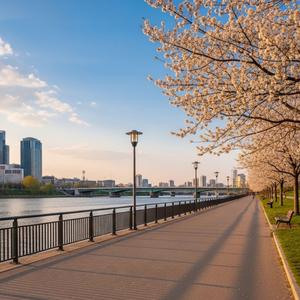 Song for the Gray Street