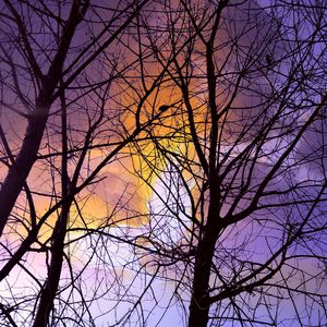 专属情书（Prod by Yzz.)