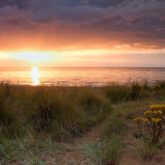 痛了累了不要了 (完美纯音乐版)